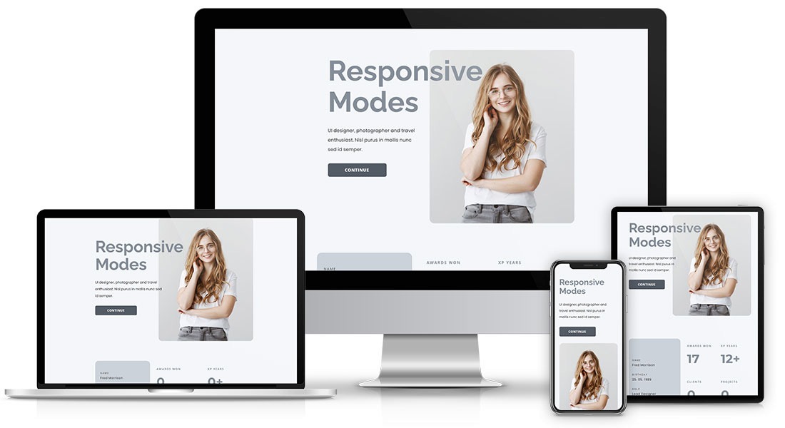 Responsive Website Design