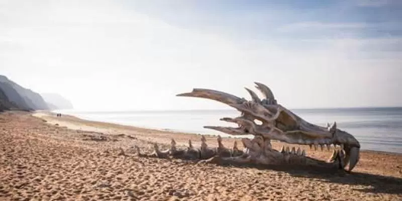 Beach user experience