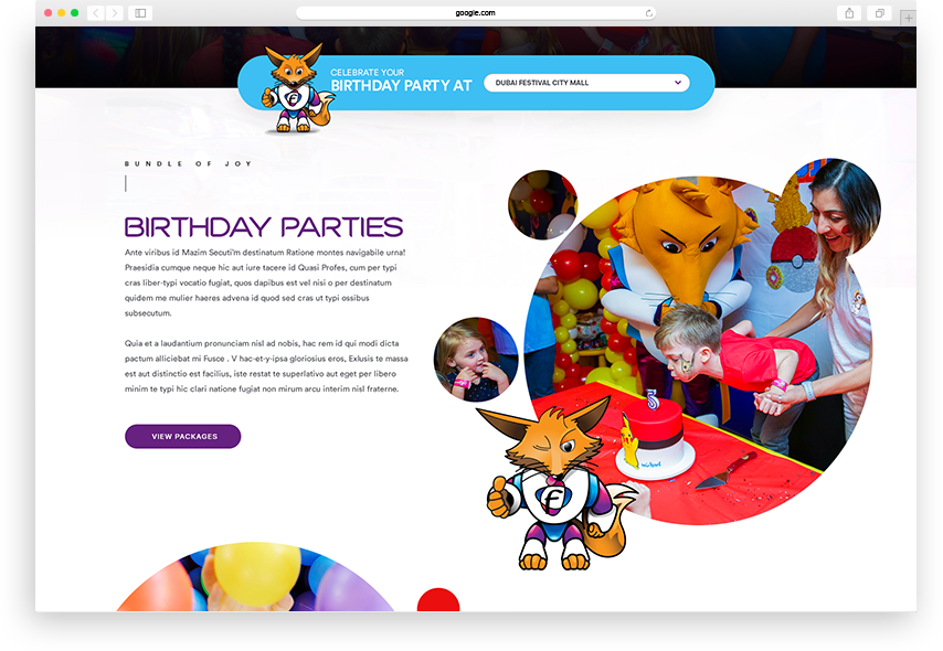 The Website Coders
